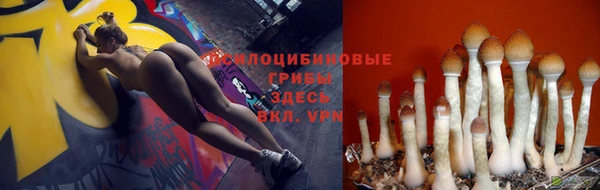 кокс Краснослободск