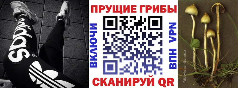 Галлюциногенные грибы ЛСД  наркотики  Зея 